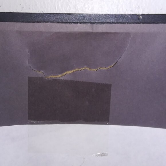 Brandy Dufrene Phoenix Archival Framed Art Print Living Oak Dancer Series 18x21 - Picture 4 of 8